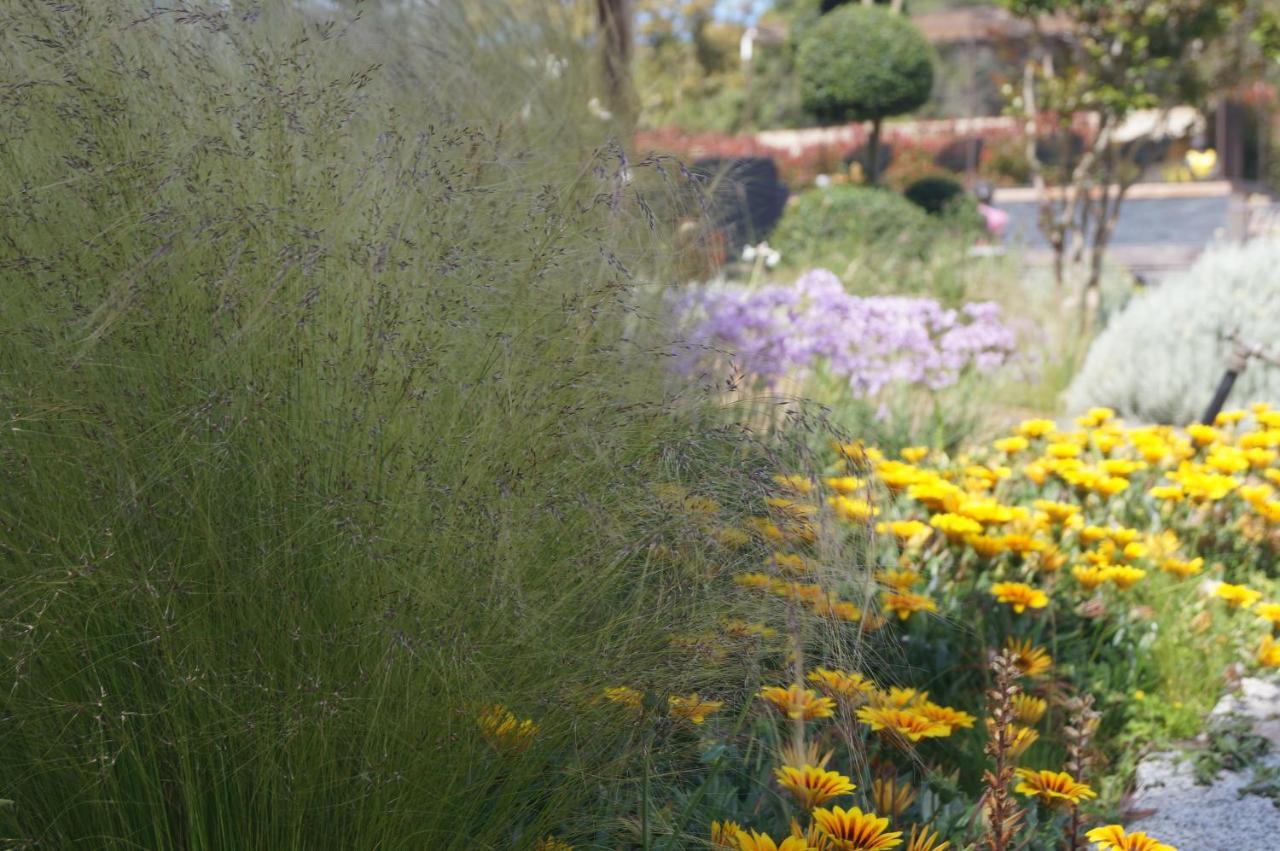 Les Jardins De Santa Giulia - Charmante Chambre D'Hote Porto-Vecchio  Ngoại thất bức ảnh