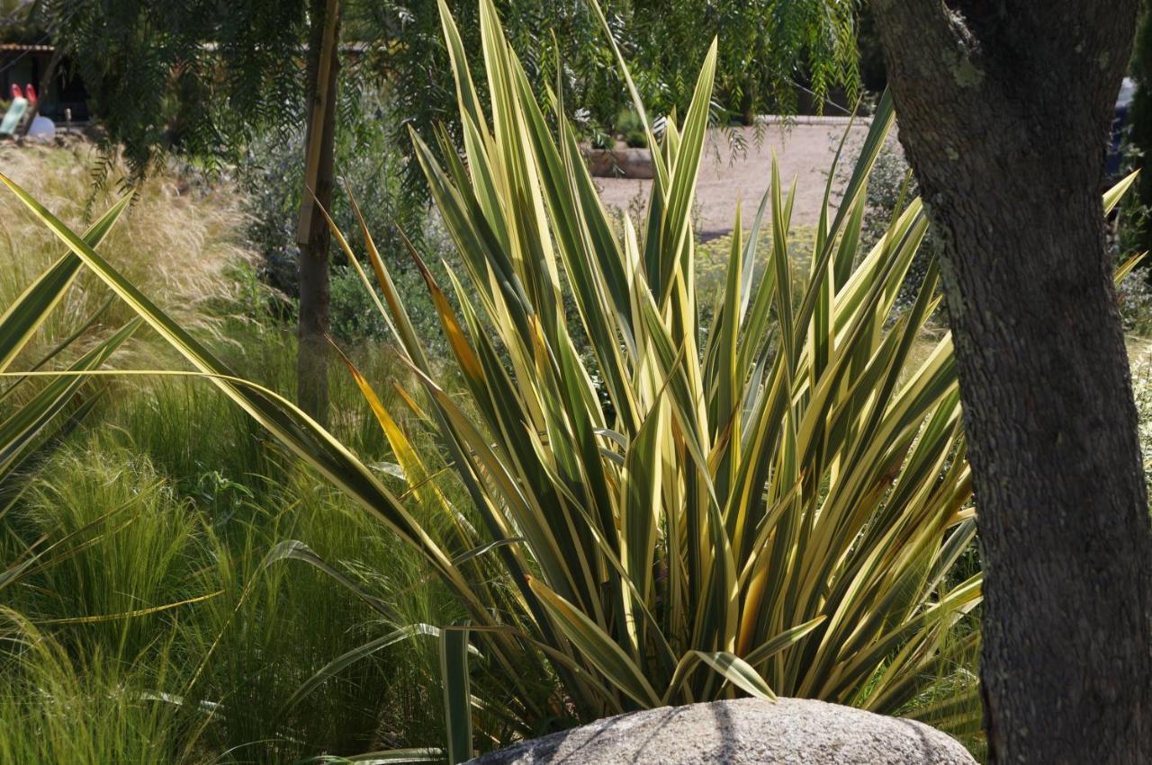 Les Jardins De Santa Giulia - Charmante Chambre D'Hote Porto-Vecchio  Ngoại thất bức ảnh